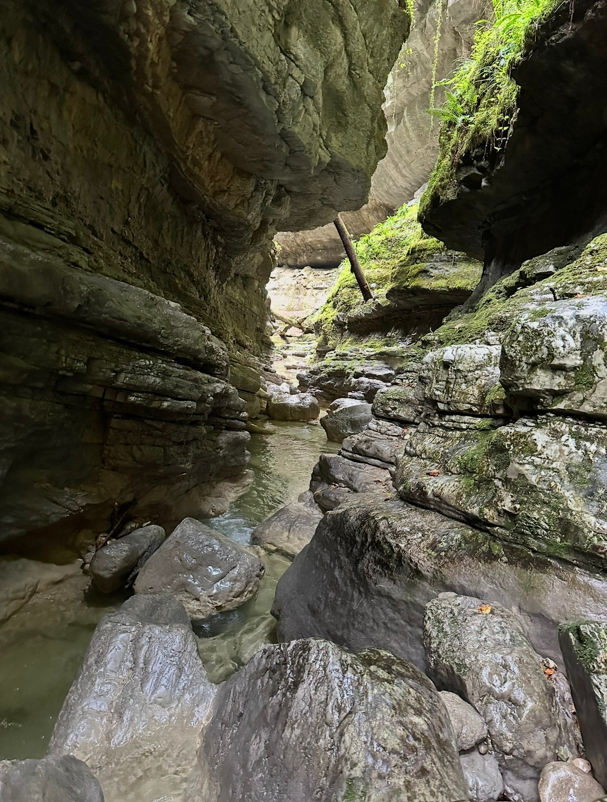 Progression aquatique dans le canyon de Coiserette