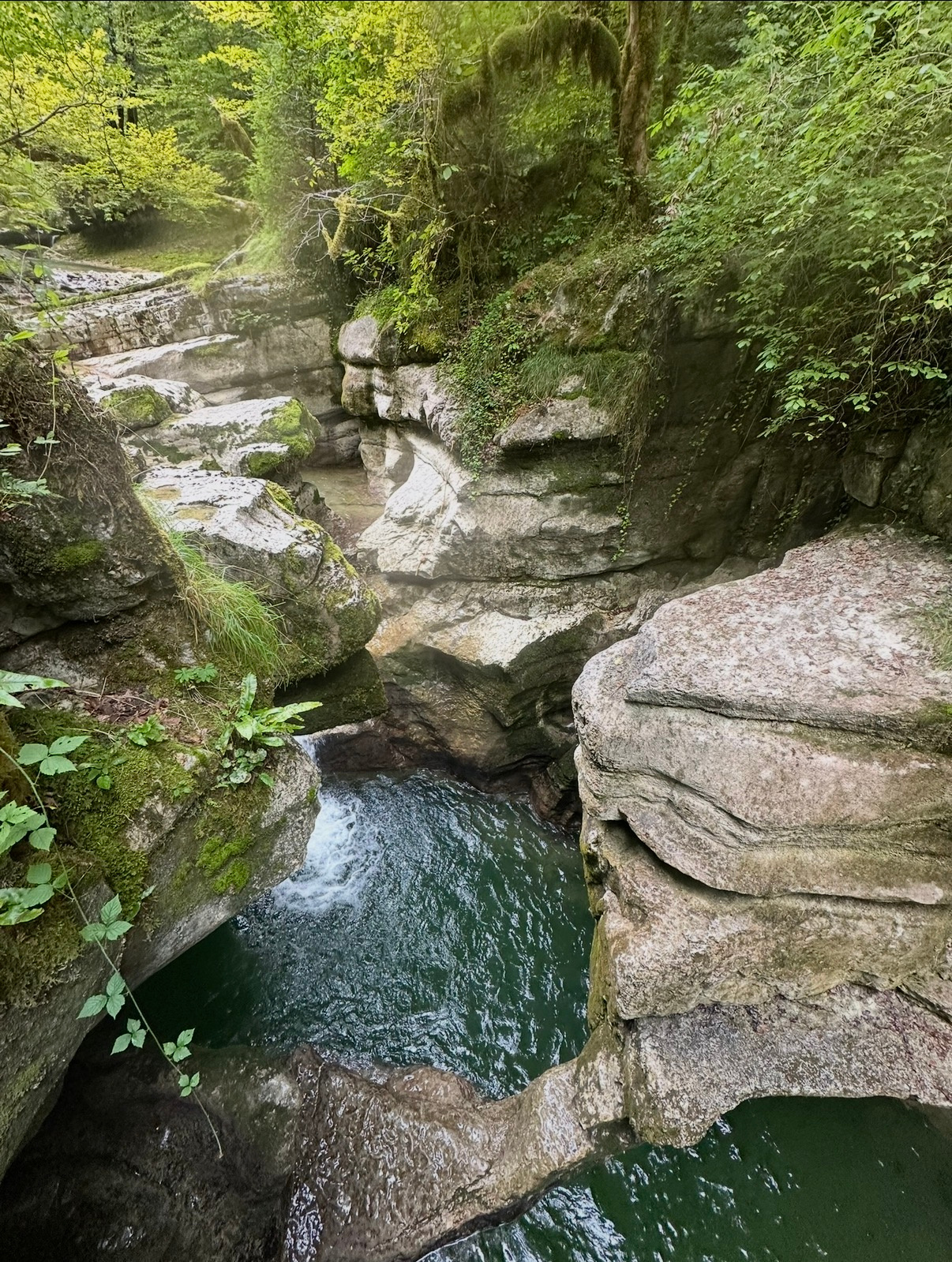 Paysage sauvage du canyon de Coiserette dans le Jura