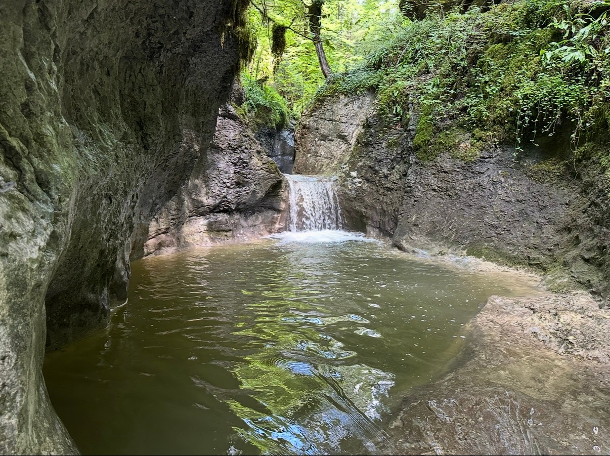 Vasque encaissée et décor verdoyant du canyon du Grosdar
