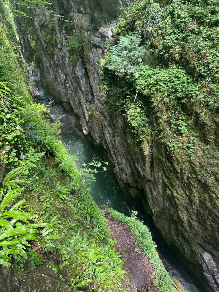 Gorge profonde et végétation dans le canyon de la Langouette