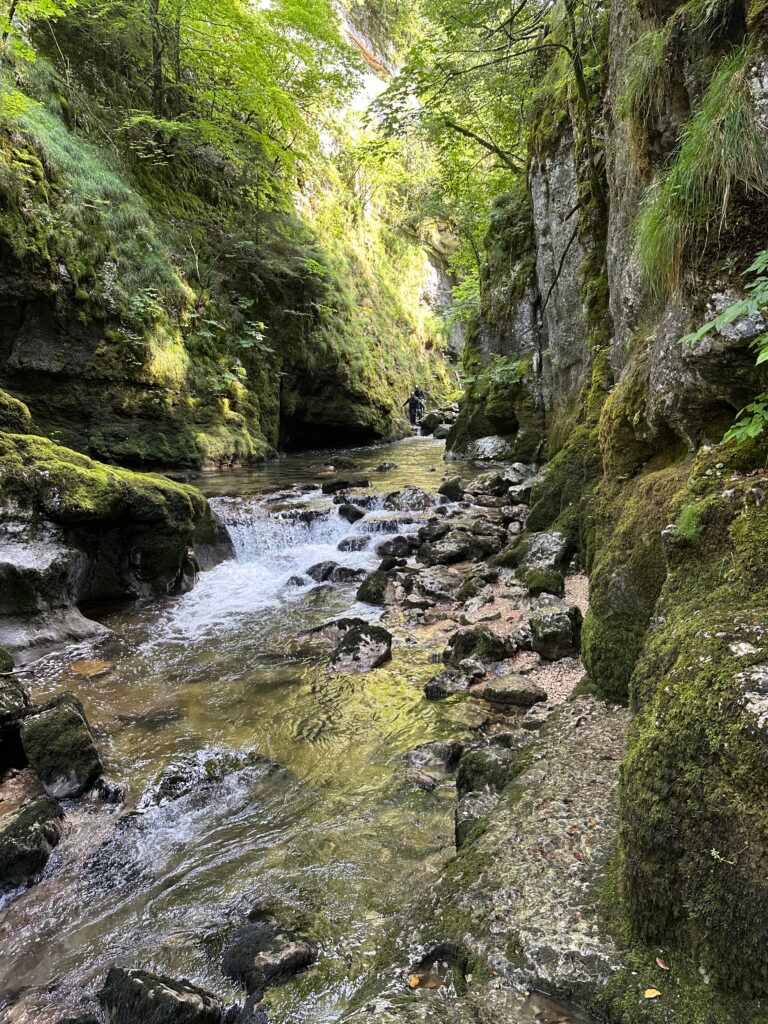Rivière de la Saine dans les Gorges de Malvaux
